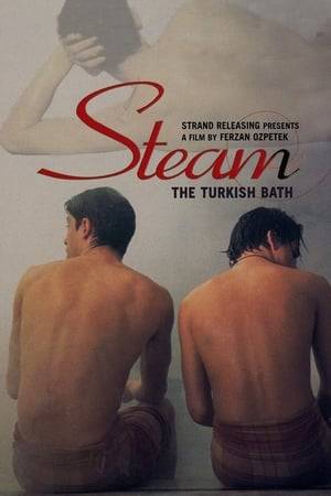 Francesco and Marta run a husband-and-wife design company in Rome. When Francesco's aunt dies in Instanbul he travels there to sort out the hamam turkish steam bath that she left him. He finds a love and warmth in his relatives' Instanbul home that is missing from his life in Italy.