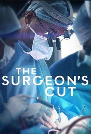 They're philosophers, storytellers and pioneers in their fields. Four surgeons reflect on their lives and professions in this inspiring docuseries.