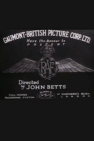 Here from 1935 is Gaumont British's documentary about the Royal Air Force, simply titled "R.A.F." and directed by John Betts. This film looks at the training of new recruits, and includes views of many (now rare) aircraft of the period.
