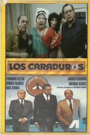Parody of a real event, the expropriation of RUMASA holding, owned by businessman Jose Maria Ruiz Mateos by the government led by Felipe González. The film chronicles the adventures of three friends José María (Antonio Ozores), Ruiz (Juanito Navarro) and Mateo (Raul Sender), dividing the shareholders of a company in serious economic crisis. Faced with adversity, go to the National Government requesting the expropriation of the company, so you do not have to worry about the salaries of the workers, or their own.