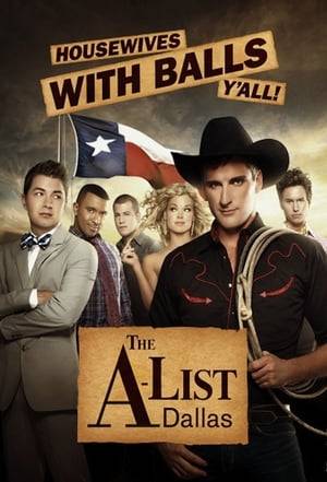 The A-List: Dallas is an American reality television series that aired on Logo. The series, the second entry in Logo's The A-List franchise after The A-List: New York, follows the lives of several gay men and one woman as they traverse the gay scene of Dallas, Texas. The series premiered on October 10, 2011. Logo announced the series was canceled along with The A-List: New York.