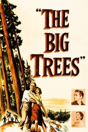 In 1900, unscrupulous timber baron Jim Fallon plans to take advantage of a new law and make millions off California redwood. Much of the land he hopes to grab has been homesteaded by a Quaker colony, who try to persuade him to spare the giant sequoias...but these are the very trees he wants most. Expert at manipulating others, Fallon finds that other sharks are at his own heels, and forms an unlikely alliance.