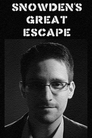 Tells the story of how Edward Snowden managed to evade capture by the US. For the first time Snowden tells the story of how he managed to escape so that not to have to spend the rest of his life in an American prison.