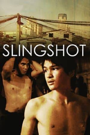 A tribute to the real potential of digital cinema, Slingshot is a slum epic on steroids. It weaves stories left and right into a shocking tableau about life for the lowest of the low in the Philippines poorest and most crime-ridden districts.  National elections are coming up so in the usual attempt to appear “tough-on-crime”, The Big Boys have been sent into crack down on the the local squatters, thieves and miscreants who litter the film like broken bottle.  And since no sweep is ever a clean sweep, the cops brutal shock-force tactics quickly ripple outwards with jagged repurcussions.
