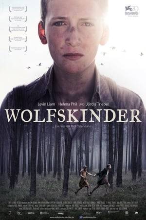 The story of a boy who, driven by the search for his lost brother in the turmoil of WWII, joins a group of children in order to survive the chaos of post-war anarchy in the haunted forests of Lithuania.