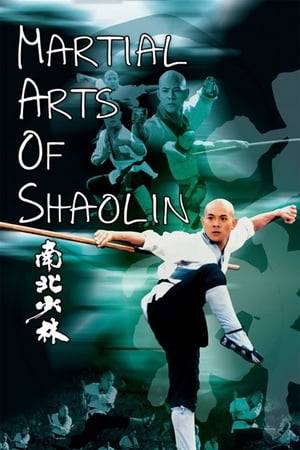 In ancient China, Zhi Ming trains at the legendary Northern Shaolin temple to avenge the death of his father at the hands of a nefarious magistrate.