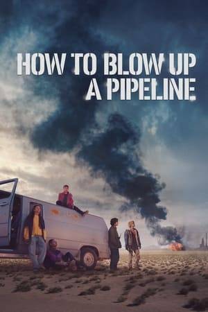A crew of young environmental activists execute a daring mission to sabotage an oil pipeline.