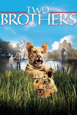 Two tigers are separated as cubs and taken into captivity, only to be reunited years later as enemies by an explorer (Pearce) who inadvertently forces them to fight each other.