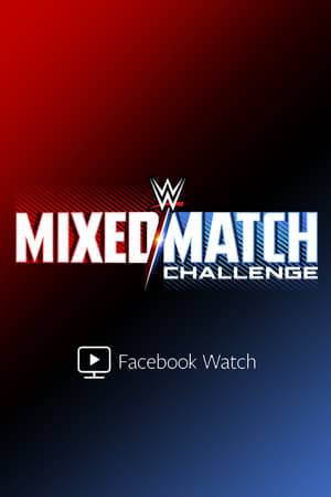 Unlikely male-female WWE Superstar pairings compete in a mixed tag match tournament. Only one Raw or SmackDown combo will win $100,000 for their charity.
