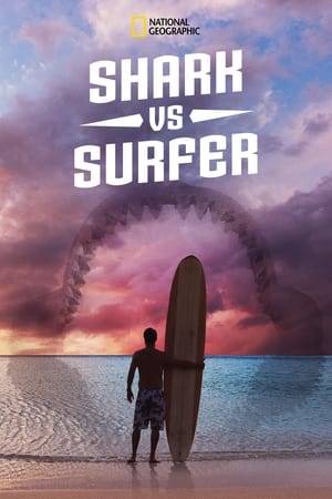 With shark attacks on the rise worldwide, surfers are taking the brunt of the bites. To understand why, a one hour SharkFest special relives the most harrowing of shark vs surfer stories from the world's deadliest shark infested surf beaches.
