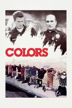 A confident young cop is shown the ropes by a veteran partner in the dangerous gang-controlled barrios of Los Angeles, where the gang culture is enforced by the colors the members wear.