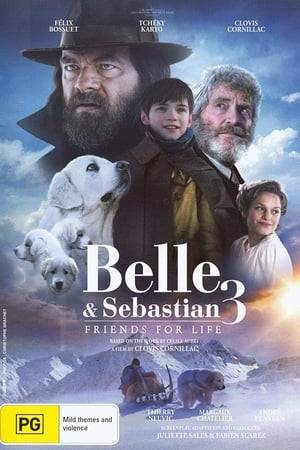 12 year-old Sebastian has decided not to follow his father and Angelina to Canada, deciding to stay in the alps to watch over Belle who has now become the mother of three beautiful pups. When a stranger arrives claiming to be Belle’s rightful owner, Sebastian will do all it takes to protect his best friend and her little ones.