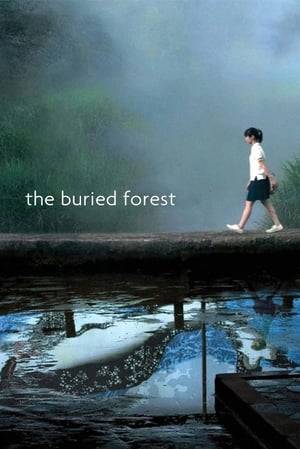 Three high school girls living out in the country build stories out from their local environment, mountainous and bordered by an unkempt buried forest.