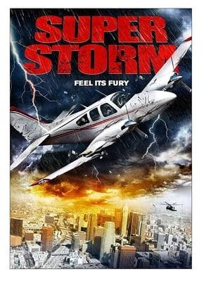 After freakish atmospheric conditions force commercial pilot Andrea Schubert to ground her flight, she and her crew decide to investigate. To determine the nature of this new lethal storm system, they fly directly into its core in this thriller.