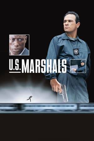 U.S. Marshal Sam Gerard is accompanying a plane load of convicts from Chicago to New York. The plane crashes spectacularly, and Mark Sheridan escapes. But when Diplomatic Security Agent John Royce is assigned to help Gerard recapture Sheridan, it becomes clear that Sheridan is more than just another murderer.