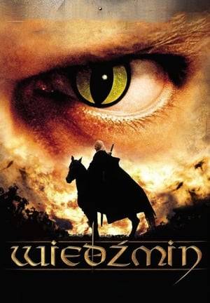 Wiedźmin is a 2002 fantasy television series. 13 episodes were made. The series received relatively poor reviews, particularly in the light of the failure of the preceding movie.

The story is based on the stories of The Witcher, by Polish author Andrzej Sapkowski.