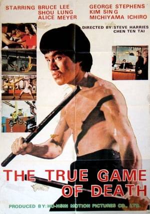 The film begins with footage of Bruce Lee's funeral. The narrator then says that there is a new actor "who looks quite like him" that will become Lee's successor. His name is Hsao Lung. Later Hsao Lung is filming a movie. On the set, he is approached by a group of gangsters, led by a man named George, who want to control Hsao Lung. Hsao Lung declines, so they go after his girlfriend Alice, forcing her poison Hsao. During sex, the poison takes action and Hsao supposedly dies. Hsao fakes his death and pretends to be a chef so that he can watch over Alice. Alice is kidnapped by the gangsters, so Hsao starts looking for her and goes to a shipyard. There he fights off 4 motorcycle-riding gangsters that are wearing multi-colored tracksuits, one of them being the iconic green and black one from Game of Death. He defeats them and goes to the tower of death.