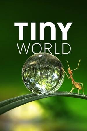 This docuseries showcases nature's lesser-known tiny heroes. Spotlighting small creatures and the extraordinary things they do to survive, each episode is filled with surprising stories and spectacular cinematography.