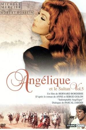 This film finds Angélique in a North African Muslim kingdom where she is now part of the Sultan's harem. The first part of the film consist of her angrily refusing to be bedded as well as their trying to literally beat some sense into her. It all seems to go on too long and I was surprised that the Sultan simply didn't have her killed. Late in the film, she finally decides to escape with the help of two Christian prisoners.