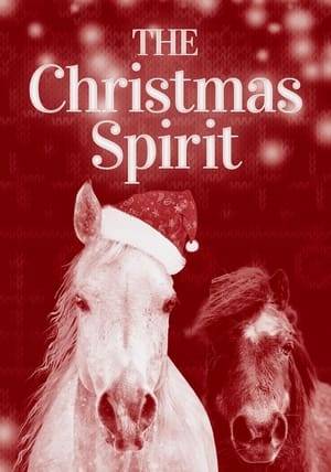Story about two boys who want ponies for Christmas but their family can only afford one. The horse owner, who is bitter about the loss of his son in the war, is softened by the boys' sacrifice for each other.