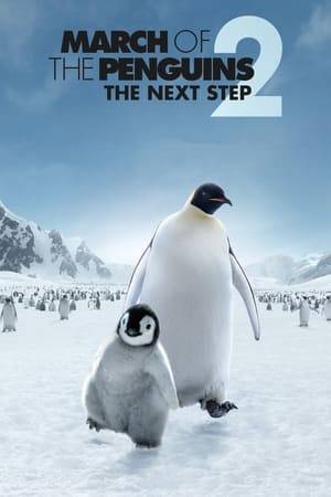 A young penguin, driven by his instinct, embarks on his first major trip to an unknown destination.