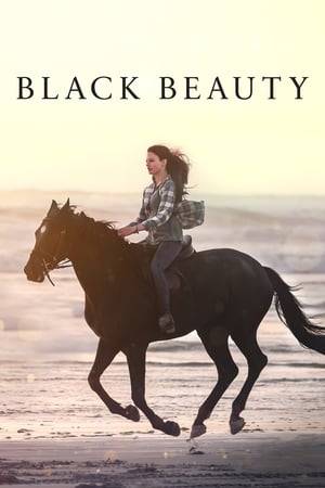 Born free in the American West, Black Beauty is a horse rounded up and brought to Birtwick Stables, where she meets spirited teenager Jo Green. The two forge a bond that carries Beauty through the different chapters, challenges and adventures.