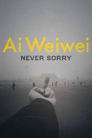 An account of the many tribulations that Chinese artist Ai Weiwei, known for his subversive art and political activism, endured between 2008 and 2011, from his rise to world fame via the Internet to his highly publicized arrest due to his frequent and daring confrontations with the Chinese authorities.