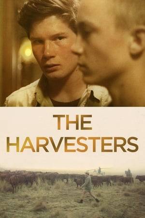 South Africa, Free State region, isolated stronghold to the Afrikaans white ethnic minority culture. In this conservative farming territory obsessed with strength and masculinity, Janno is different, secretive, emotionally frail. One day his mother, fiercely religious, brings home Pieter, a hardened street orphan she wants to save, and asks Janno to make this stranger into his brother. The two boys start a fight for power, heritage and parental love.