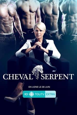 The Cheval-Serpent is a male strip club with a sulphurous reputation whose success cannot be denied thanks to the work and vigilance of its owner and manager. But a change at Montreal's City Hall has repercussions on the bar and puts the institution in danger...