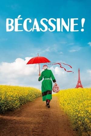Born to a poor farming family in Brittany, Bécassine finds work as a nanny with the Marquise de Grand-Air who has recently adopted a lovely baby named Loulotte. A strong bond develops between Becassine and Loulotte, and life is sweet, until the Grand-Airs are threatened with financial ruin… Can Bécassine save the day? Naïve, funny, dreamy, optimistic, loving, Bécassine is also inventive, courageous and always ready to handle any situation in her own unique way – a superheroine like no other. César-winner Bruno Podalydès returns with a family movie adapted from the beloved French comic book Bécassine.