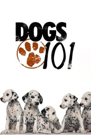 Dogs 101 is a show that airs on the American cable TV channel Animal Planet. Dog trainers and breeding experts explored the advantages and disadvantages of various breeds of dogs.