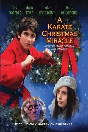 After his father disappeared during a mass shooting on Christmas Day one year earlier, 10-year-old, precocious Jesse Genesis creates a "12 Days of Christmas List" of tasks. If he completes them all, including teaching himself to become a karate black belt, he believes his father will return on Christmas. Jesse's sophisticated, workaholic mother, Abby, believes her husband was lost in the shooting, but has a glimmer of hope through visions that Jesse reports to her. After Abby enlists the aid of an eccentric psychic-turned-law professor, a roller coaster thriller ensues, where the trio unravel a mystery that no one expected - and maybe, just maybe witness the delivery of a miracle that can only happen on Christmas.