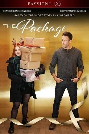 Christmas week can’t get any worse for Jules Jilliland. Dumped by her boyfriend, rear-ended on the freeway, and fired from her job, she finds herself stuck in an elevator with a handsome stranger. When their packages are accidentally swapped, will it end up being a misfortunate accident that suddenly brightens her holidays?