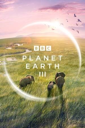 Journeying to the far reaches of our planet, this eight part series follows some of the world's most amazing species, telling extraordinary stories that are dramatic, thrilling, funny and sometimes heart-breaking, but always full of hope.