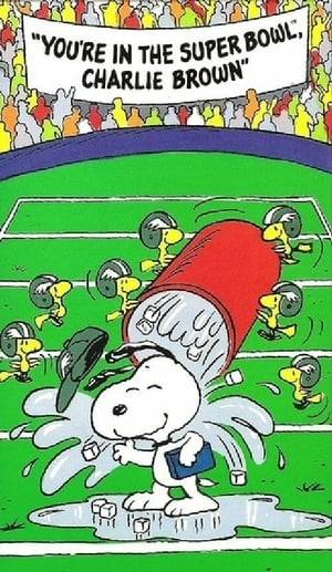 The Peanuts Gang competes in a punt, pass and kick contest. The winner gets a new bicycle and a trip to the Super Bowl. Meanwhile, Snoopy coaches the Birds football team (made up of a bunch of Woodstock-like birds) to the AFL (Animal Football League) Super Bowl.