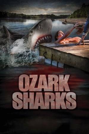 A picturesque family vacation to the Ozarks goes sideways when a group of bull sharks show up just in time for the big fireworks festival that the town holds every year.