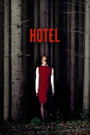 When Irene takes a position at a hotel deep in the woods of the Austrian Alps, she soon discovers the girl she replaced vanished without a trace.