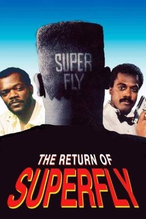 In this third entry in the Superfly films, Priest returns to New York from Paris to find who is responsible for his friend's murder. With a couple of new friends, he attempts to bring the killers to justice while trying not to get into criminal activity like he did years ago.