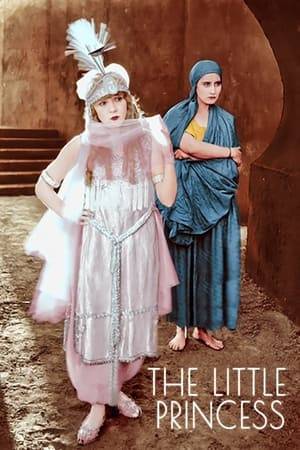 Little Sara Crewe is placed in a boarding school by her father when he goes off to war, but he does not understand that the headmistress is a cruel, spiteful woman who makes life miserable for Sara.