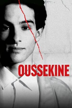 An examination of the terrible true events of December 5, 1986, that led to the death of a young student, Malik Oussekine.  Centred on his family’s fight for justice, the series explores the enormous impact this high-profile case had on French society.