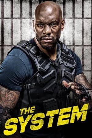 When a young soldier, newly returned from war, gets caught up in a drug bust, he is recruited by the authorities to go undercover in a notoriously dangerous prison in order to figure out what is really going on.