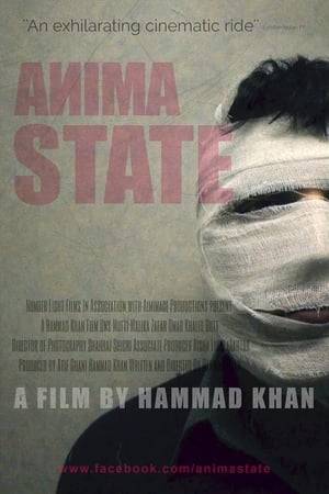 Pakistan - present day, a Stranger in a bandaged mask embarks upon a random killing spree with a gun. After shooting eight people dead, he realizes that nobody seems to care about what he is doing. So he gets onto a TV show with a plan to kill himself live on air. A Filmmaker emerges from this dream, with no mask, gun or dead people. Just a camera in his hand. Then his real troubles begin. Persecuted, paranoid and on the run, the filmmaker becomes confused whether he is still trapped in his dream, or whether Pakistan itself might have lost grip on reality.