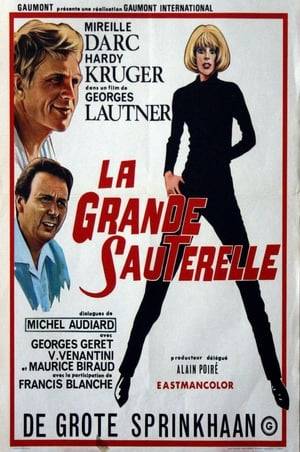 While he is trying to escape from a hit man, Carl is setting up a kidnapping in Beirut. He gets lost on his way, falling in love with Salène, a.k.a. "La grande sauterelle"...