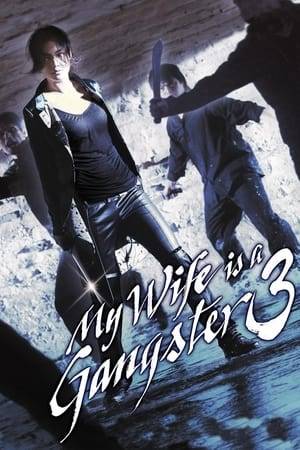When Aryong, the daughter of a triad boss from Hong Kong is accused of killing the boss of a competing triad, she goes into hiding in Korea. Upon arriving, she is guided by a nimble but loyal Gi-chul and his motley crew, who are assigned to protect her until her return.