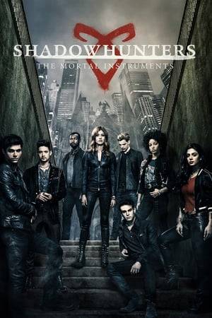 When Clary Fray's mother has disappeared, Clary joins a band of Shadowhunters; demon killing hunters, and gets caught up in a plan to save the world.