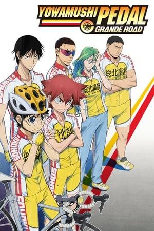 Sakamichi Onoda is a wimpy high school freshman who loves anime. He initially wants to enter the anime club, but winds up joining the cycling club after meeting two classmates who are already famous cyclists. He undertakes the grueling training to compete in races, and discovers his own hidden talent in cycling.