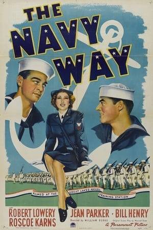 The experiences of a disparate group of young men as they make their way through Navy boot camp.