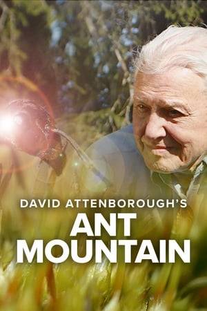 David Attenborough travels to the Jura Mountains in the Swiss Alps, to find out about one of the largest animal societies in the world, where over a billion ants live in peace.