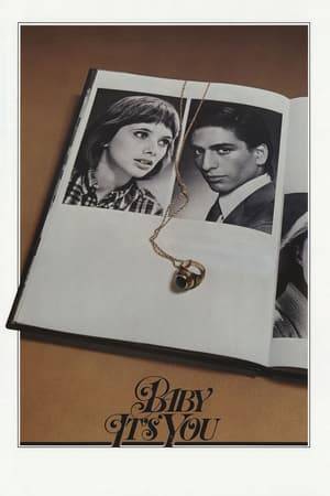 In a 1966 New Jersey high school, Jill and new student Sheik from the other side of the tracks make their way in a first love romance.
