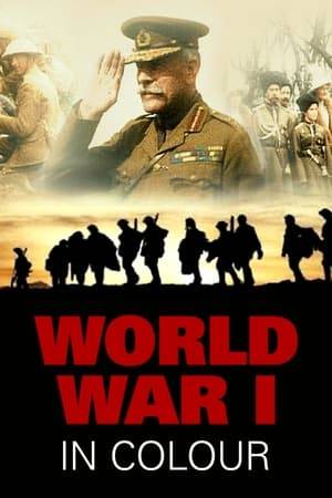 Documentary narrated by Kenneth Branagh consisting of colourised footage from World War I.